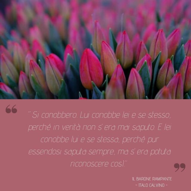 🌻[IO, L'ALTRO, UN ALTRO IO]

Le relazioni sono uno specchio grazie al quale possiamo riconoscerci e pensarci in modi nuovi.

In ogni relazione mettiamo in gioco parti di noi diverse e possiamo arricchirci dei differenti sguardi che ogni persona ha su di noi.

Questo vale anche per la relazione terapeutica, una relazione che crea la possibilità di narrarsi in modo nuovo e che offre quello spazio e quell'attenzione di cui ognuno di noi ha bisogno per rispecchiarsi negli occhi dell'altro.

Per avere informazioni circa il possibile percorso da intraprendere:

🌍Sito web: https://www.psicologapiccolisabrina.it/

☎️ Telefono: 3405065258
.
.
.
#psicologia #psicologobergamo#psicologiabergamo #studiopsicologiabergamo
#psicoterapiacostruttivista
#psicoterapia #italocalvino #libri