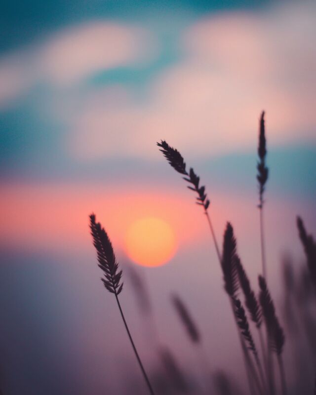 [🌗IN PSICOTERAPIA SI CREANO TRAMONTI]

✨Ieri osservando il tramonto mi sono resa conto di quante volte, a fine giornata, non mi sia accorta del tramonto. 
Mi accorgevo del buio arrivato dopo una giornata di luce ma non mi accorgevo del tramonto, di quel passaggio che porta ad una nuova fase del giorno.

✨Ho poi pensato a quante volte le persone in terapia raccontino che “improvvisamente qualcosa è cambiato”, “andava tutto bene e tutto d’un tratto le cose hanno iniziato ad andare male”, “senza che me ne accorgessi mi sono spento”

“Improvvisamente”, “tutto d’un tratto”, “senza che me ne accorgessi”…come quando il giorno diventa notte e tu non ti sei accorto del tramonto.

✨In queste situazioni durante il percorso di psicoterapia ci si sofferma ad osservare il processo, quello che è accaduto tra una fase e l’altra. 
Di cosa non ci siamo accorti? In cosa eravamo impegnati? Cosa abbiamo scelto di non vedere pur di andare avanti? Come stavamo? Chi avevamo accanto? Cosa possiamo vedere oggi? 

Piano piano si definisce e si dà forma a quella fase di passaggio di cui non ci siamo accorti, e così facendo si rende più comprensibile il significato di quel cambiamento che stiamo attraversando.

✨…In psicoterapia si creano tramonti
.
.
.
.
#psicologia #psicoterapia #psicologo #psicologobergamo #salutementale #saluteebenessere #tramonto #cambiamento #costruttivismo #costruttivismonarrativo